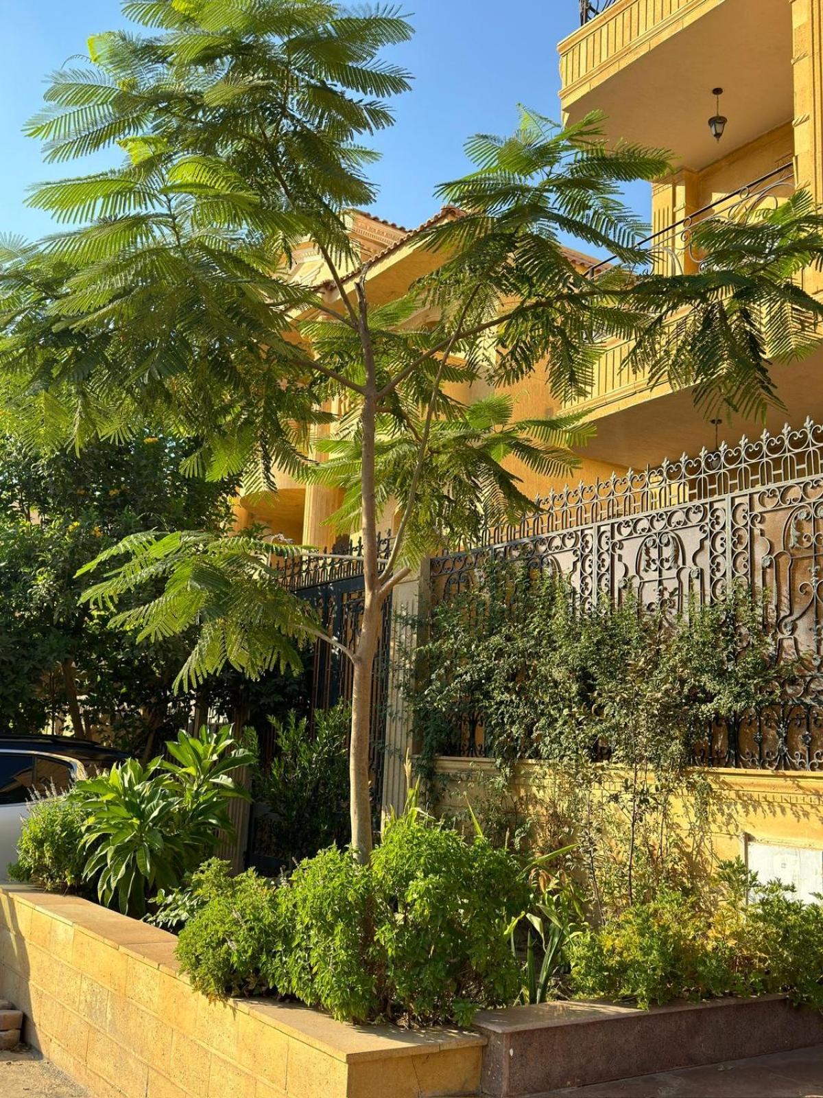 Apartment Cosy And Modern Flat For Families Cairo